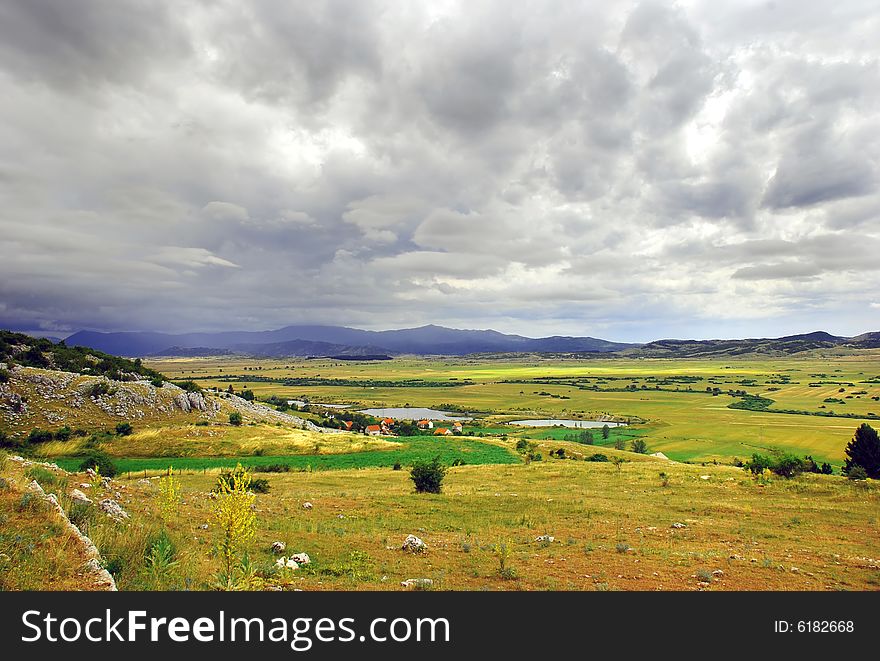 Green meadow and firs on hill over gray sky. Green meadow and firs on hill over gray sky