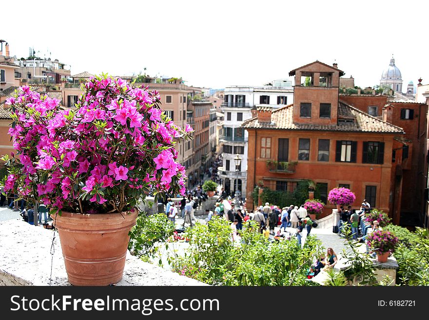 Rome-the flowers in Spagna place