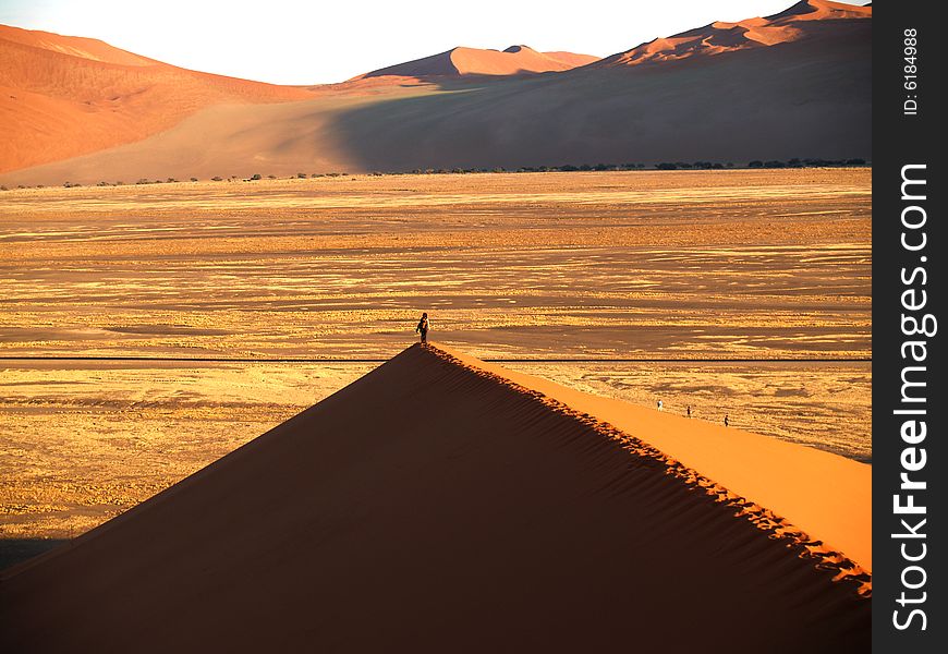 Man alone in the desert sun