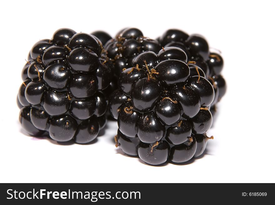 Close up of blackberries on a white background
