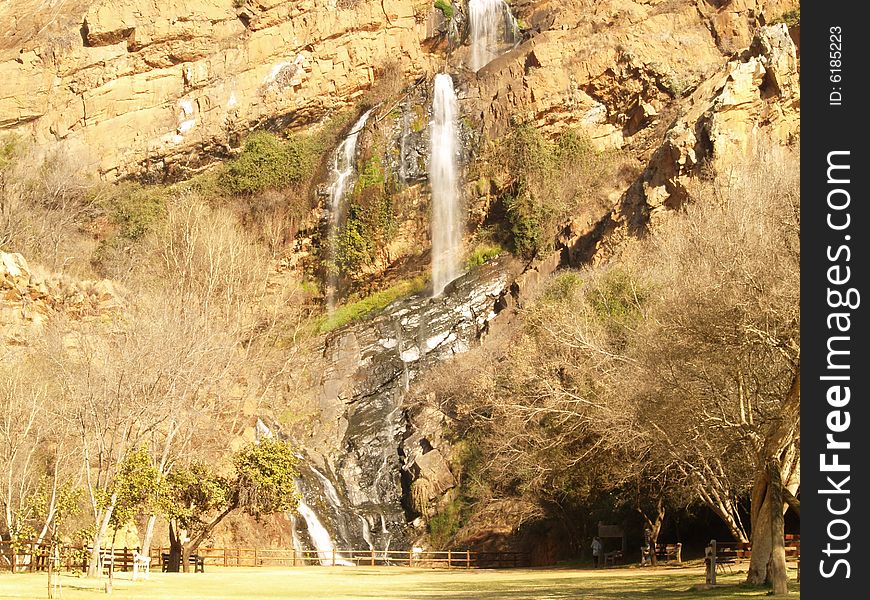 I captured this picture at The Walter Sisulu Botanical Gardens,Outside Krugersdorp,South Africa. I captured this picture at The Walter Sisulu Botanical Gardens,Outside Krugersdorp,South Africa.