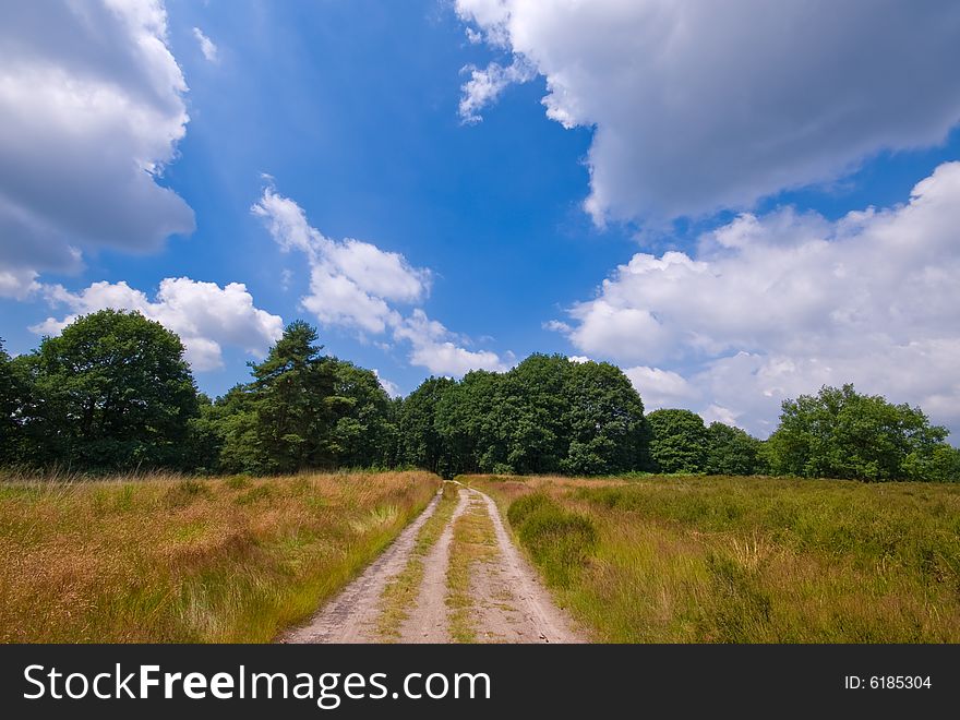 Sandy rural road with trees and grass and blue cloudy sky. Sandy rural road with trees and grass and blue cloudy sky