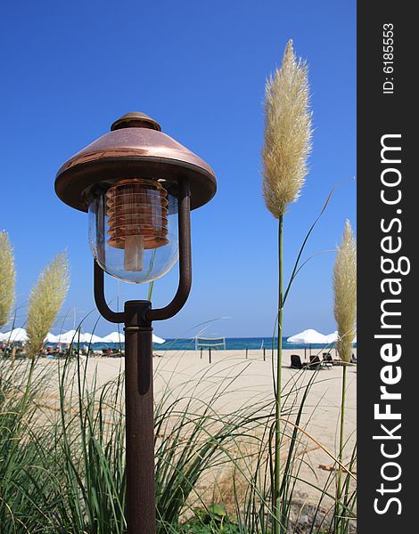 The electric lamp and grass on the beach. The electric lamp and grass on the beach.