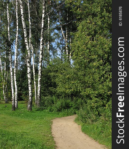 Birch group and earth path