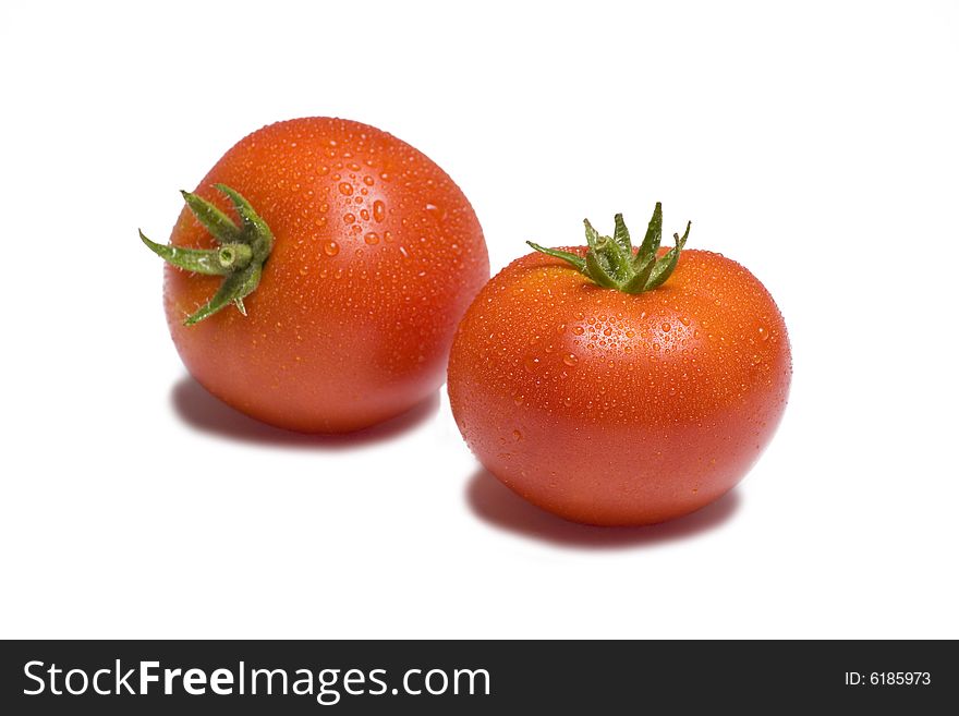 Two vibrant tomatoes on white background glistening with water. Two vibrant tomatoes on white background glistening with water
