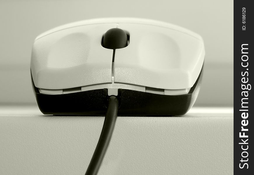 Computer Mouse (the black-and-white image)