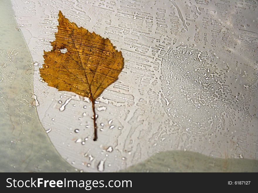 Fall. leaf under glass and blobs