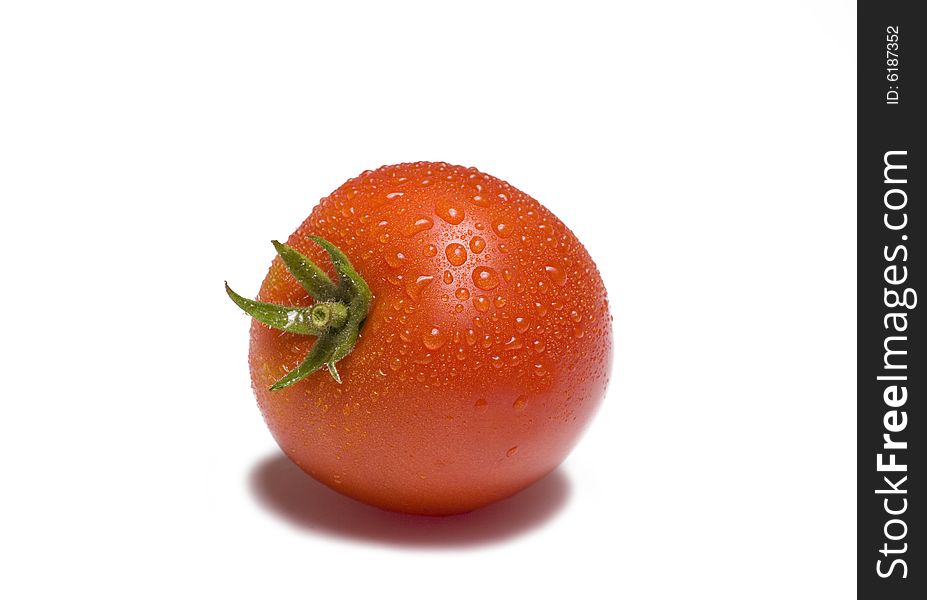 Tomato glistening with water on white background. Tomato glistening with water on white background