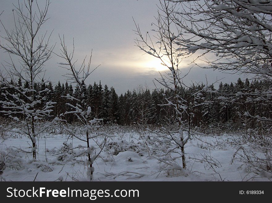 Sunset of soft and gloomy winter