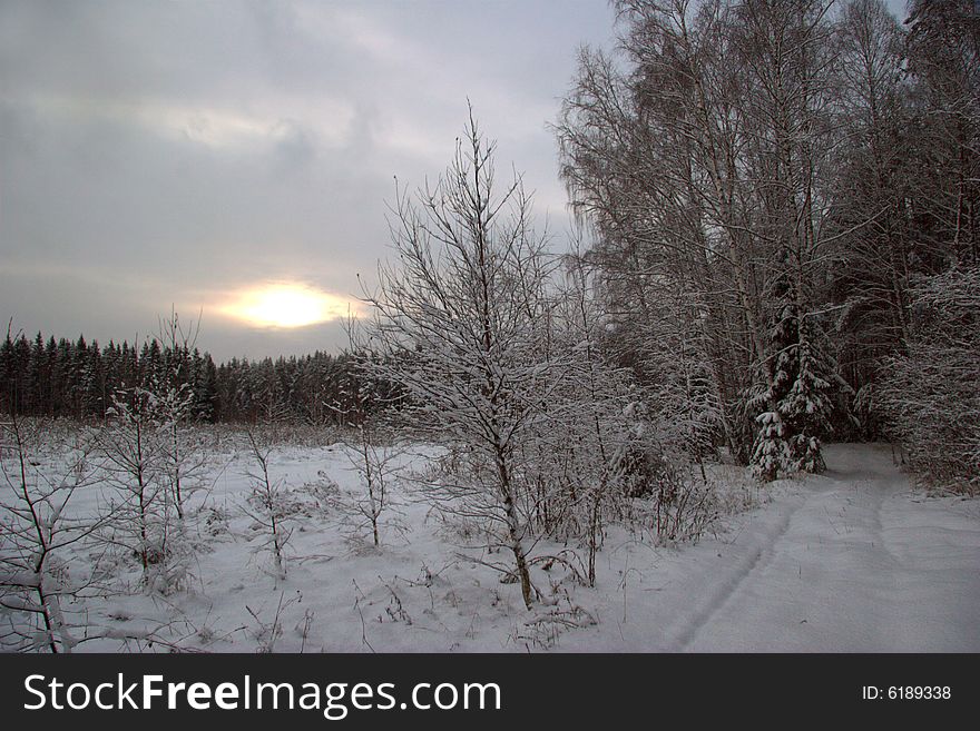 Sunset of soft and gloomy winter