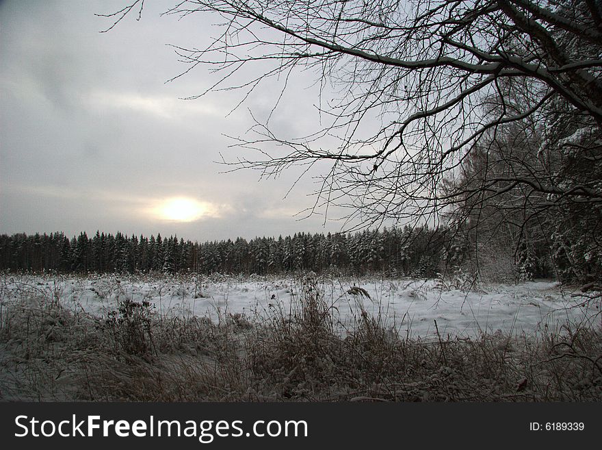 Sunset Of Soft And Gloomy Winter