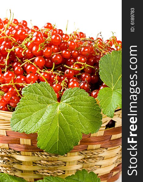 Fresh red currant in a basket on a white background