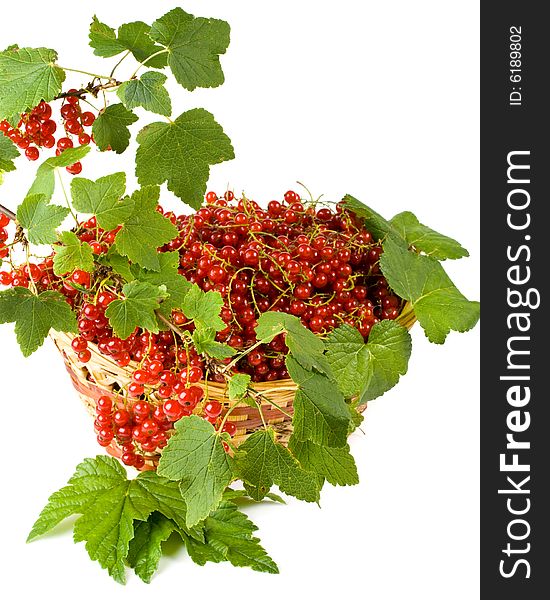 Fresh red currant in a basket on a white background