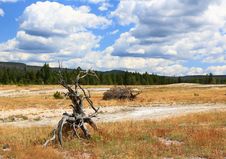 Upper Geyser Basin In Yellowstone Royalty Free Stock Images Upper Geyser Basin In Yellowstone Royalty Free Stock Images