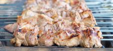 Shashlik Stock Image Shashlik Stock Image