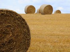 Hay Bales Royalty Free Stock Photo Hay Bales Royalty Free Stock Photo