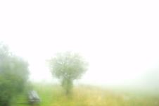 Unreal Fog On The Road Stock Photography Unreal Fog On The Road Stock Photography