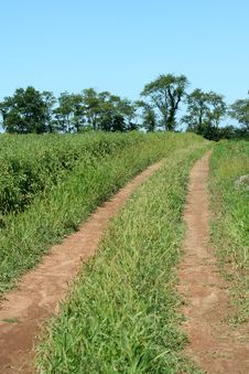 Dirt Road Through A Farm Field Royalty Free Stock Photography Dirt Road Through A Farm Field Royalty Free Stock Photography