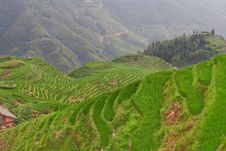 Guilin Rice Field Terrace Royalty Free Stock Photography Guilin Rice Field Terrace Royalty Free Stock Photography
