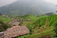Guilin Rice Field Terrace Royalty Free Stock Photo Guilin Rice Field Terrace Royalty Free Stock Photo
