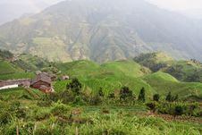 Guilin Rice Field Terrace Royalty Free Stock Photo Guilin Rice Field Terrace Royalty Free Stock Photo