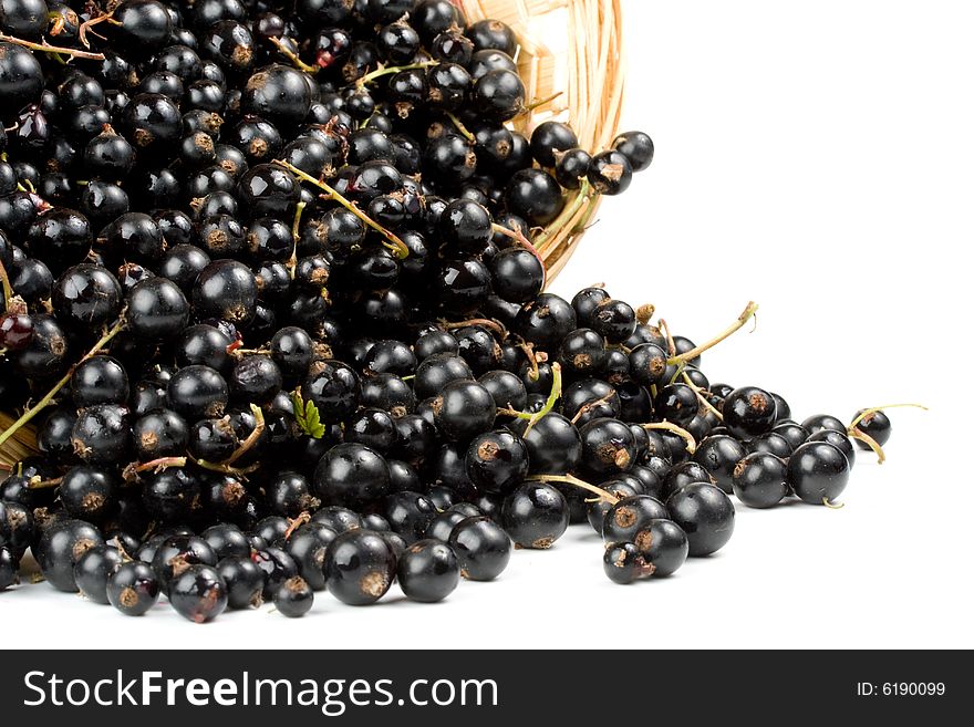 Fresh blackcurrant in a basket on a white background