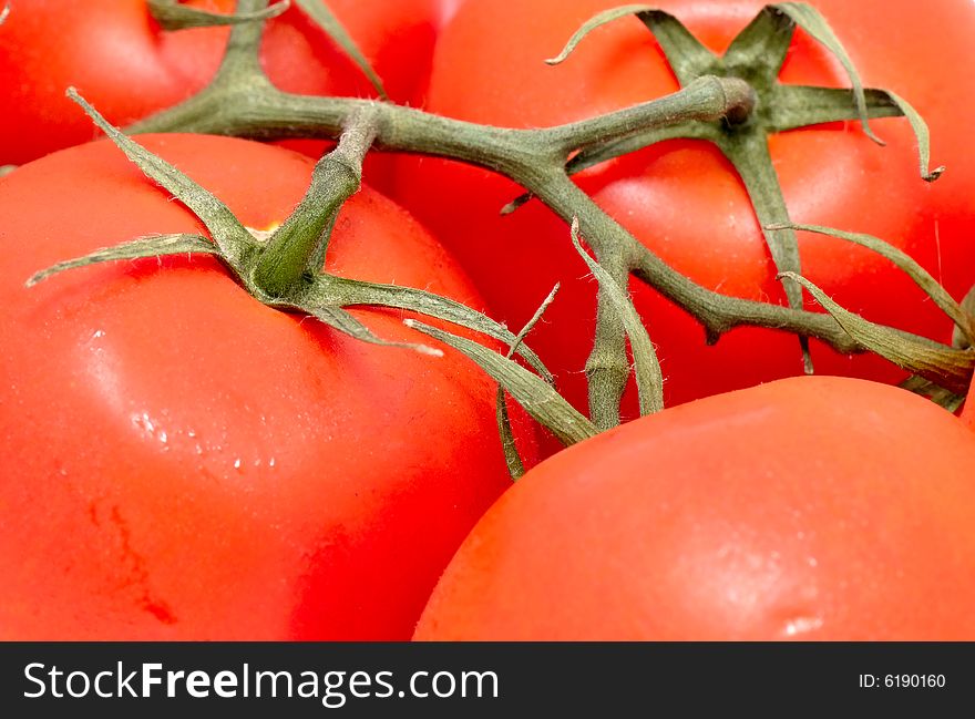 The image of the tomatoes