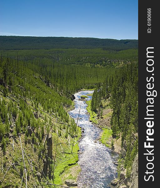 Firehole River in Yellowstone National Park.