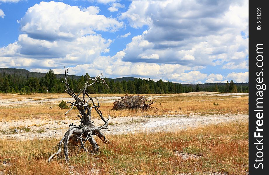 Upper Geyser Basin In Yellowstone