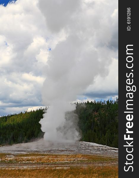 The Old Faithful Geyser in Yellowstone National Park