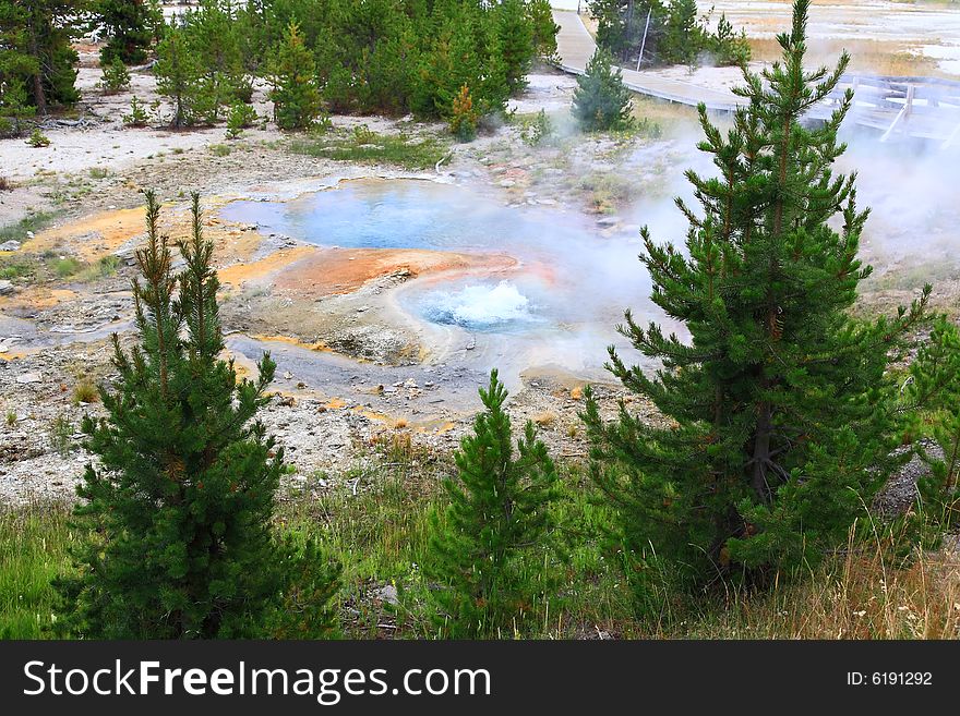 West Thumb Geyser Basin in Yellowstone National Park