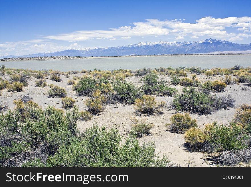 San Luis Lake, Great Sand Dunes National Monument area.