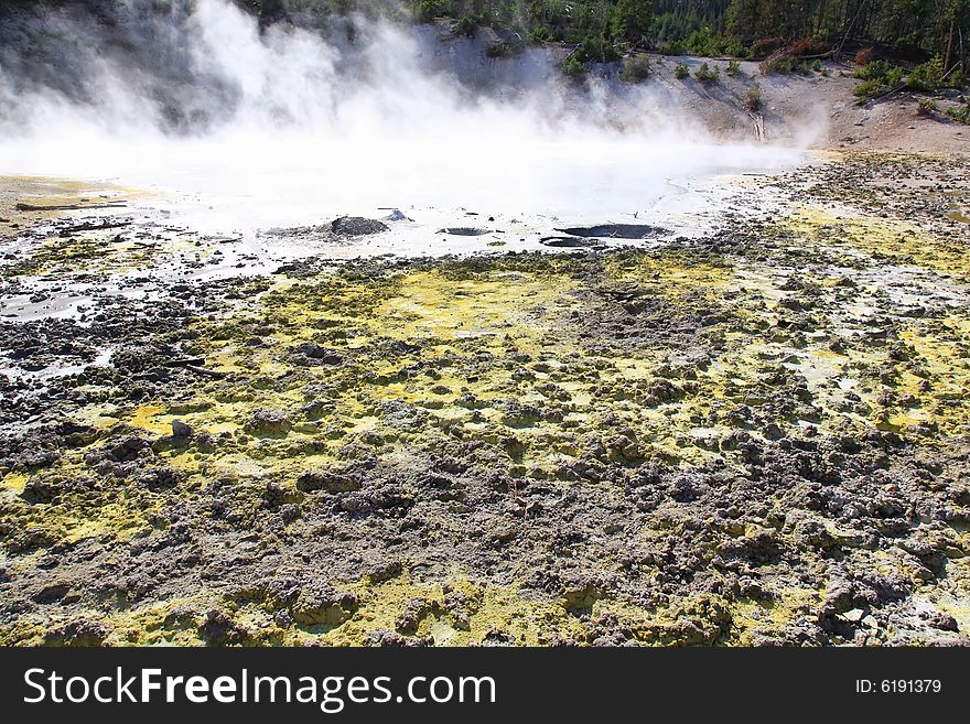 The scenery at Mud Volcano area in Yellowstone National Park