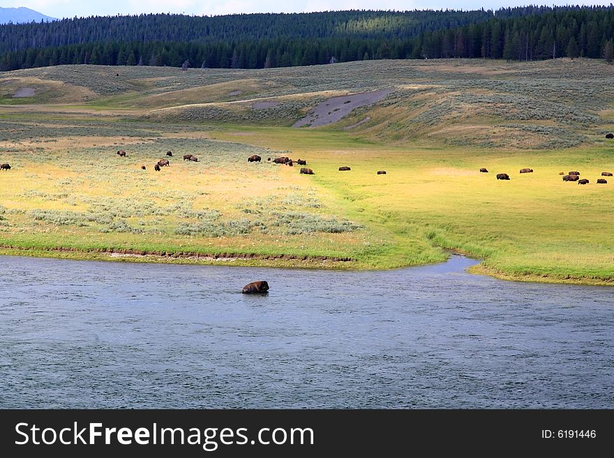 The scenery along the Yellowstone River