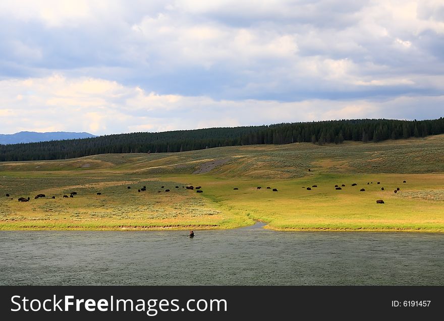 The Scenery Along The Yellowstone River