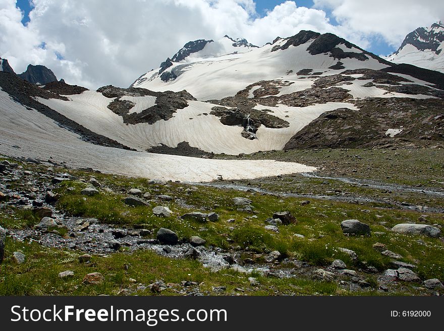 Flowering meadow and mountains in snow