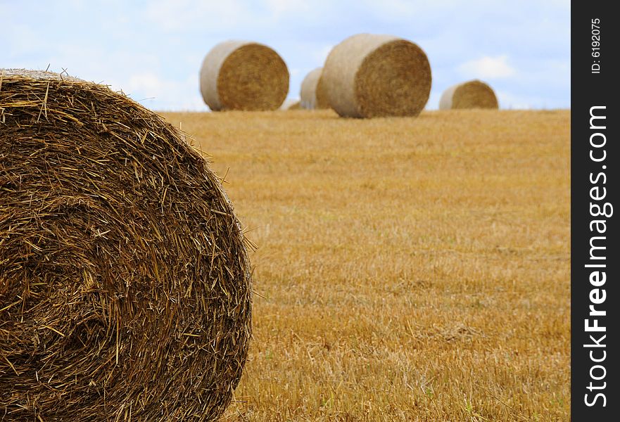 Hay bales pictured on a beautiful summers evening