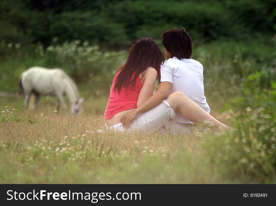 Two in love sit on a green herb on a meadow and observe of an animal. Their persons it is not visible. The horse is grazed in the distance. Two in love sit on a green herb on a meadow and observe of an animal. Their persons it is not visible. The horse is grazed in the distance.