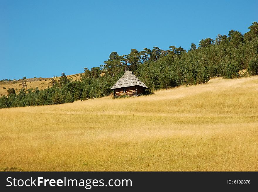 Beautiful old wooden rustic style country house on a yellow field with an evergreen forest in background. Beautiful old wooden rustic style country house on a yellow field with an evergreen forest in background