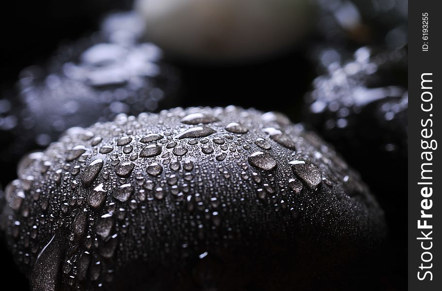 Stone With Drops
