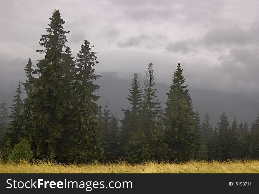 Fog in Zakopane