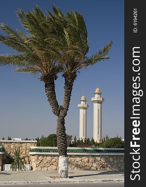 Two palm trunks against the backdrop of two minarets. Two palm trunks against the backdrop of two minarets