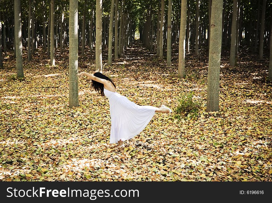 Female dancer posing in a forest. Female dancer posing in a forest
