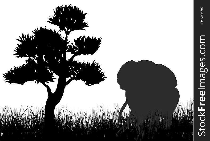 Elephant on the grass illustration