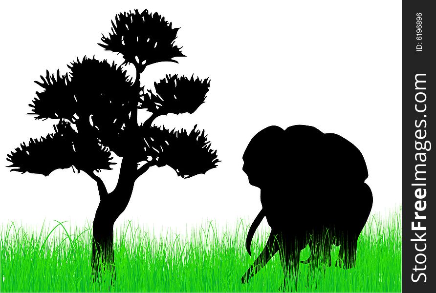 Elephant on the grass illustration