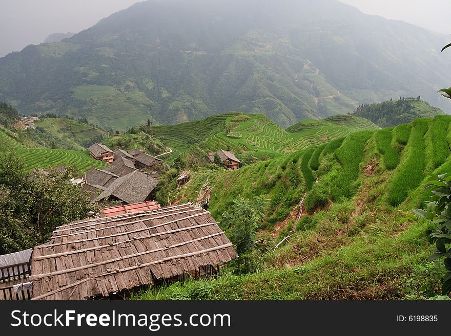 Guilin Rice Field Terrace