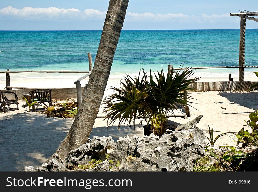 Beach Landscape In Tulum