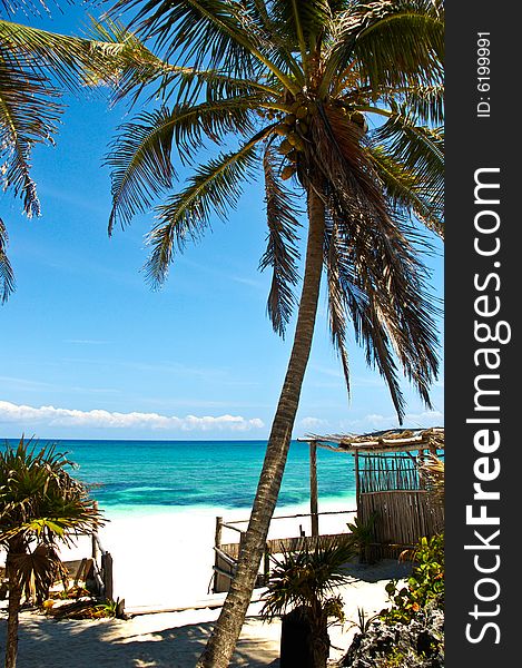 Beach Landscape in Tulum on a bright sunny day