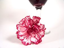Carnation Wine Glass Stock Images Carnation Wine Glass Stock Images