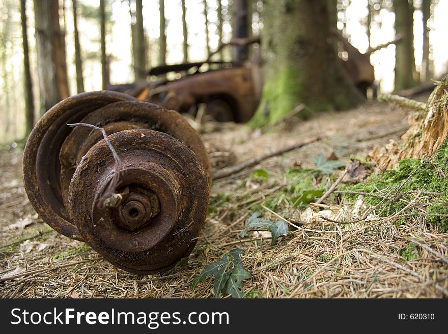 Derelict Car In Woodland.